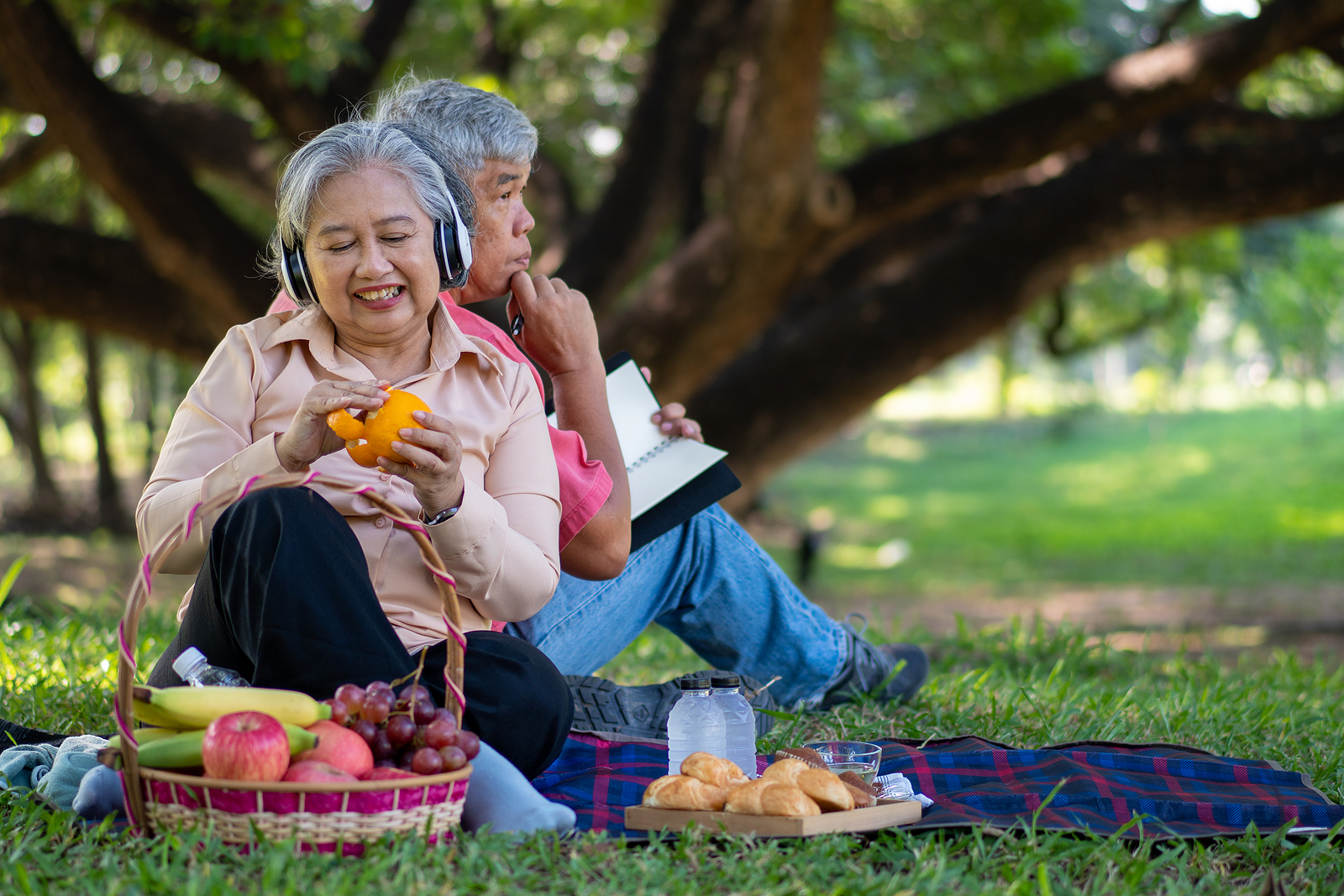 Picnics: Home Care Brookfield CT