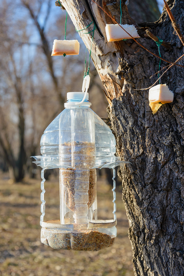 Companion care at home can help seniors prep their backyard for bird watching.